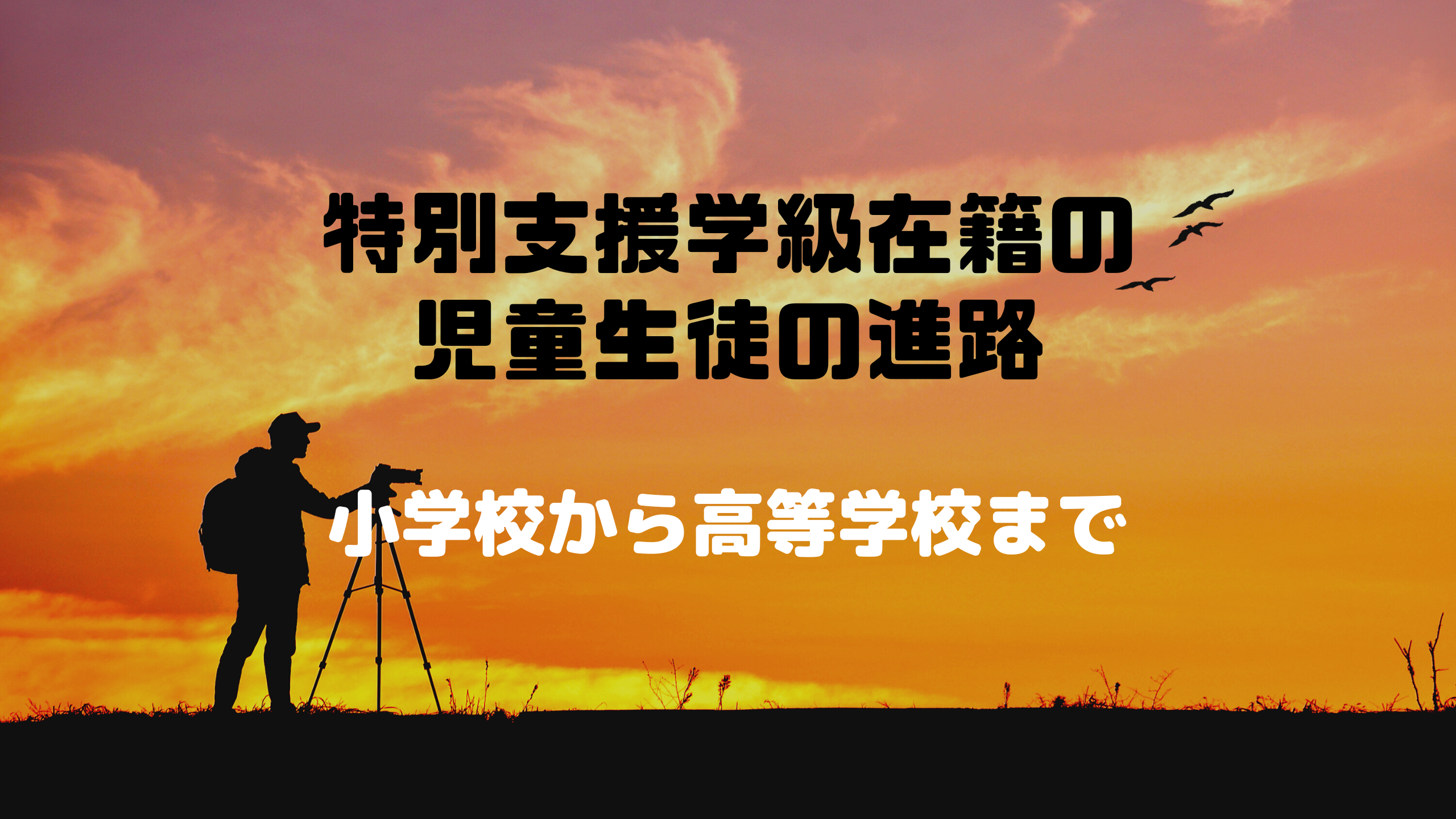 特別支援　進路