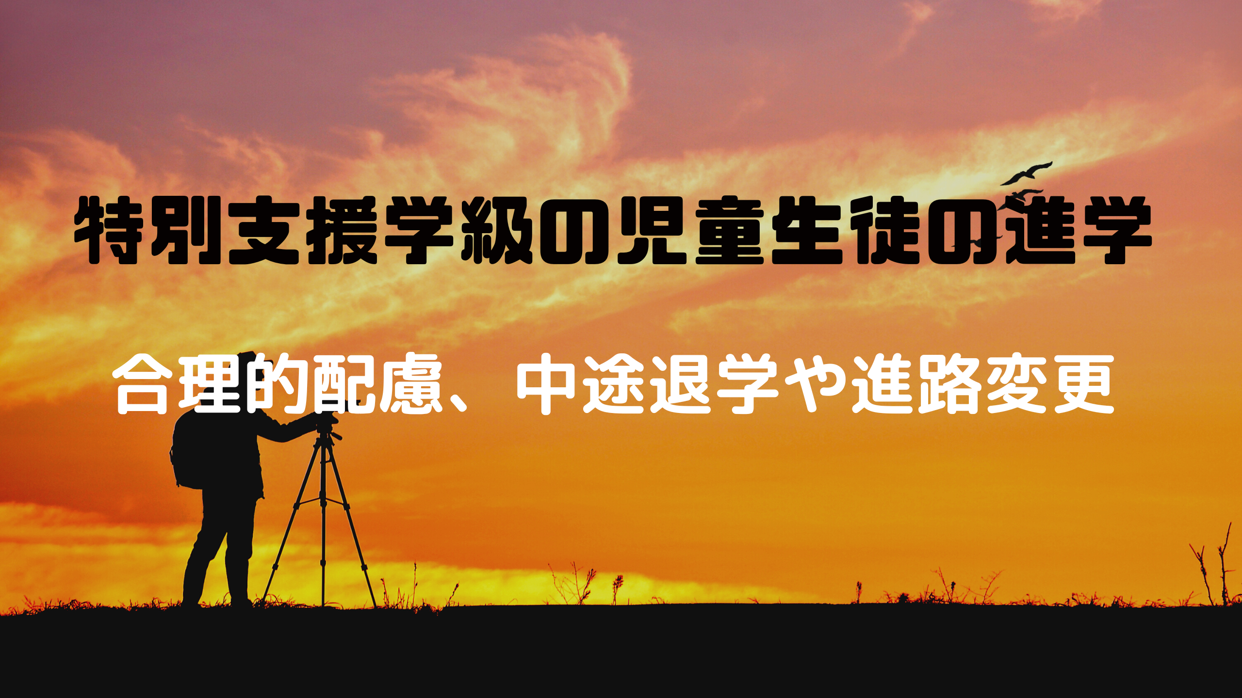 特別支援　進路　合理的配慮　中途退学や進路変更