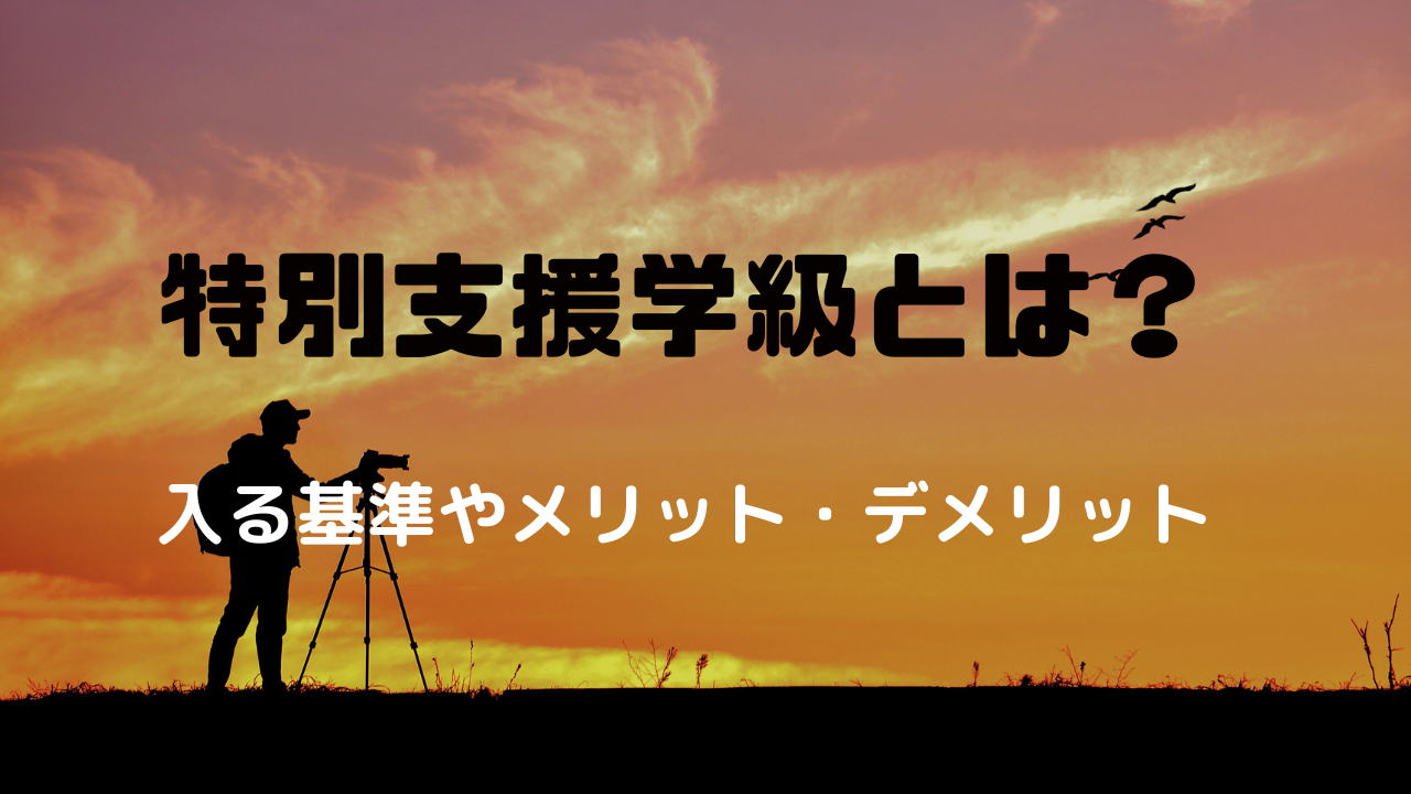 特別支援学級　メリット　デメリット　基準